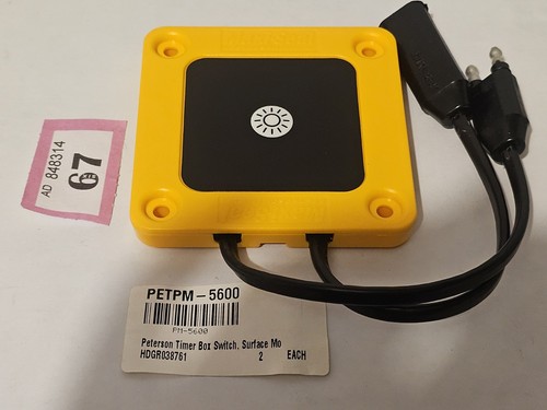Peterson timer box surface - box,